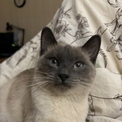 ����: ������� ����� �������� ����� �������� ����� ������� ����� 1 ��� ������ � �. ������