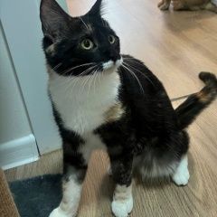 ����: ������� ����� ����-��� ������� ������� ����� �������� ����� � �. ������