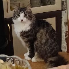 ����: ������� �����  ������-��������� ������� ����� ������� �����,...� � �. �����-���������