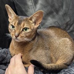 ����: ������� ����� ����������� ����� �������� ������� ����� � �. �������