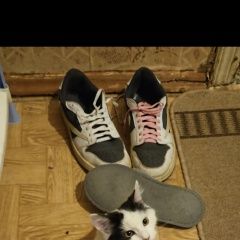 ����: ������� �����  �������� ����� ������� � �. ������