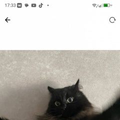 ����: ������� ����� ��������� ����� ����� ������� ����� � �. ����