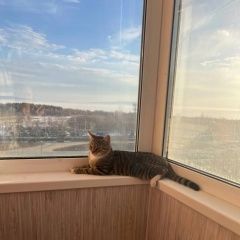 ����: None  ��������� ����� �������� � �. ��������