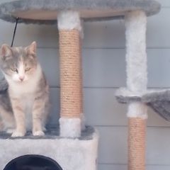 ����: ������� �����  �������� ����� ����� ����������� � �. �����������