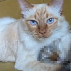 ����: ������� ����� ������� �������� ����� ������ � �. ������