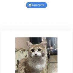 ����: ������� �����  ������� ��� ������ � �. ������