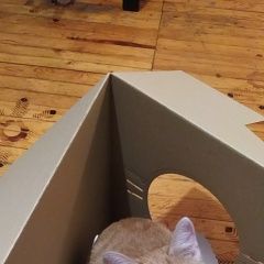 ����: None  ��������� ����� ��� ������ ������������ � �. ������������