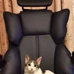 ����: ������� �����  �������� ����� ����� ������� ������ �������� � �. ������ ��������