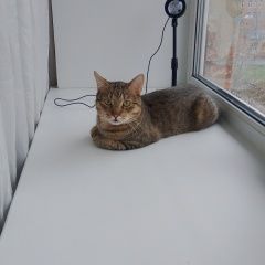 ����: ������� ����� ����������� ����� ������� ����� ������ ���� ������� � �. �������