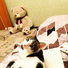 ����: ������� �����  �������� ����� ���� ������ �������� � �. ������ ��������