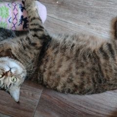 ����: ������� �����  �������� ����� ������� ������ � �. ������