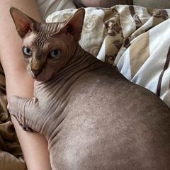 ����: ������� ����� ������ ������� ��� ����� � �. �����