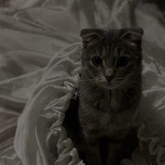 ����: None  ��������� ����� ������� ����� �����, ���������...� � �. ������������