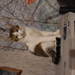 ����: None  ��������� ����� ������ � �. ������