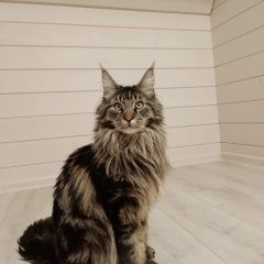 ����: ������� ����� ����-��� ������� ��� ������� � �. �������