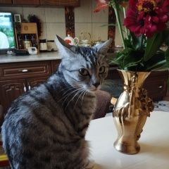 ����: ������� �����  �������� ����� �� �������������� ������ � �. ������