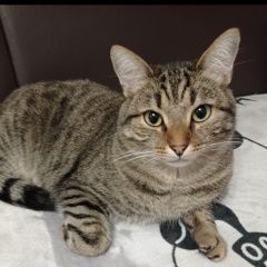 ����: ������� �����  ������� ��� ������� � �. �������