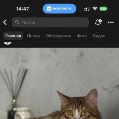 ����: ������� �����  ������� ��� �����-��������� � �. �����-���������