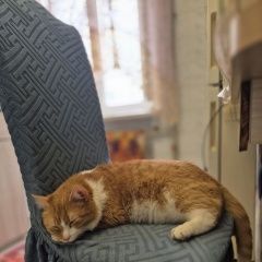 ����: ������� �����  ������� ��� ���������� � �. ���������