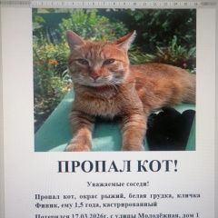 ����: ������� �����  ������� ��� ������� � �. �������