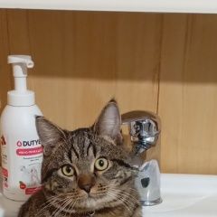 ����: ������� �����  ����������� ������ ��� � ��������� � �. ����������