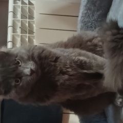 ����: ������� ����� �������� ������ ������� ��� ���������� � �. ���������