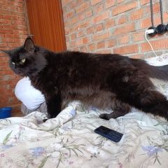 ����: ������� ����� ����-��� ������� ��� ������ ��� ����-��� ���������� � �. ����������