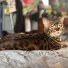 ����: ������� ����� ����������� ����� �������� ����� ������ � �. ������