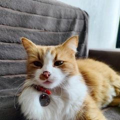 ����: ������� �����  �������� ����� �������� ����� ����������� � �. ����������