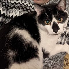 ����: ������� �����  ������� ��� � ���� ������ ����� ������ � �. ������