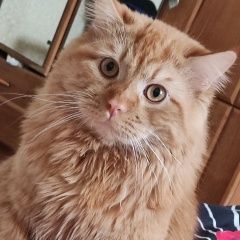 ����: ������� �����  ������� ��� �������� ����� ��������� �������...� � �. ��������