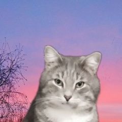 ����: ������� �����  ������� ��� ������� �������� (��������)� � �. ������� �������� (��������)