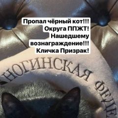 ����: ������� �����  ������� ��� ������� � �. �������