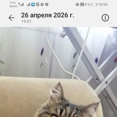 ����: ������� ����� ��������� ����� ��������� ������ ��� � �. ��������
