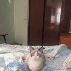 ����: ������� ����� �������� ����� ������� ��� �������� ����� ���� ������� � �. �������