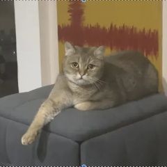 ����: ������� ����� ���������� ��������������� ����� ����� ������ ��� � �. ����