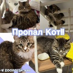 ����: ������� �����  ������� ��� ��������� � �. ���������