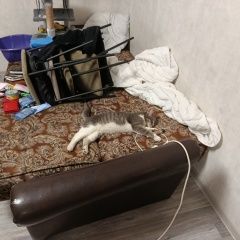 ����: ������� �����  ������� ������ ��� 5 ��� ������ 10 � � �. ������