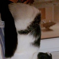 ����: ������� �����  ����������� ������ ������ � �. ����������