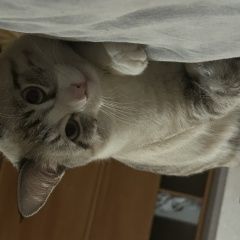 ����: ������� ����� ����-�� ������� ��� ������� � �. �������