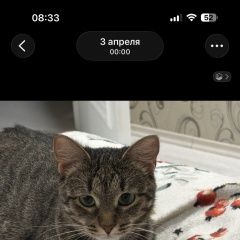����: ������� �����  �������� ����� ���������� � �. ���������