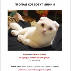 ����: ������� �����  ������� ��� �������� ����� �������� ������ �������� � �. �������