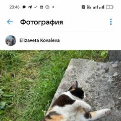 ����: None  ������ ��� ������ � �. �����