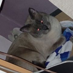 ����: ������� �����  ������� ��� ����� ���������, ��� �������� ������ � �. ������