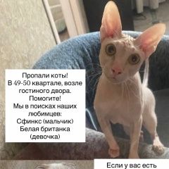 ����: ������� �����  �������� ������� ����� � ���� �������� � �. �������