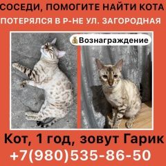 ����: ������� �����  �������� ������ ��� �������� ����� ������ � �. �������