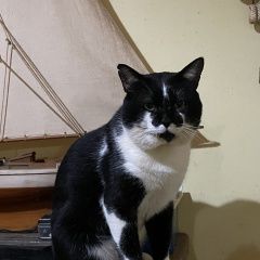 ����: ������� �����  ��������� ������ ��� �����-����� ������� ��� � �. ��������