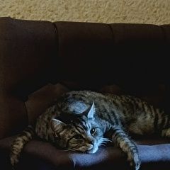 ����: ������� �����  ������� ��� �������� ����� ������ ��������� � �. ��������