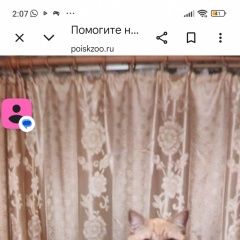 ����: ������� �����  ������� ��� �����, �������� �������� � �. �������