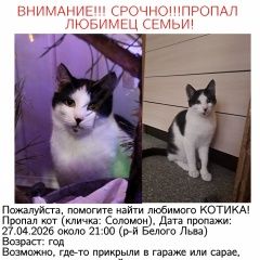 ����: ������� �����  ������� ��� ������� ����� ���������� � �. ���������